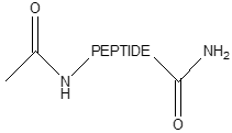 Acetylation & amidation