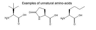 Examples of unnatural amino acids